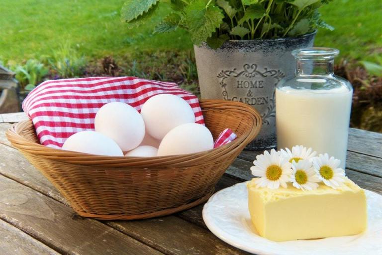 milk-eggs-cheese-dairy
