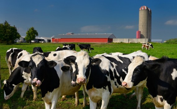 Dairy Farmers of Canada gets Recognition for Sustainable Practices