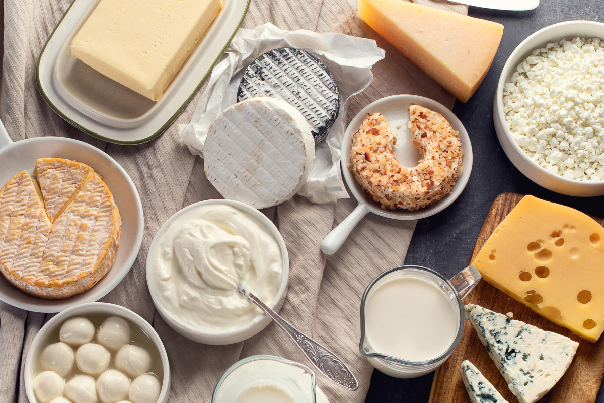 Navigating Dairy Safety Regulations Dairy Central